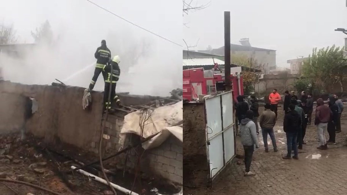 Diyarbakır'da ahır yangını: 22 hayvan can verdi