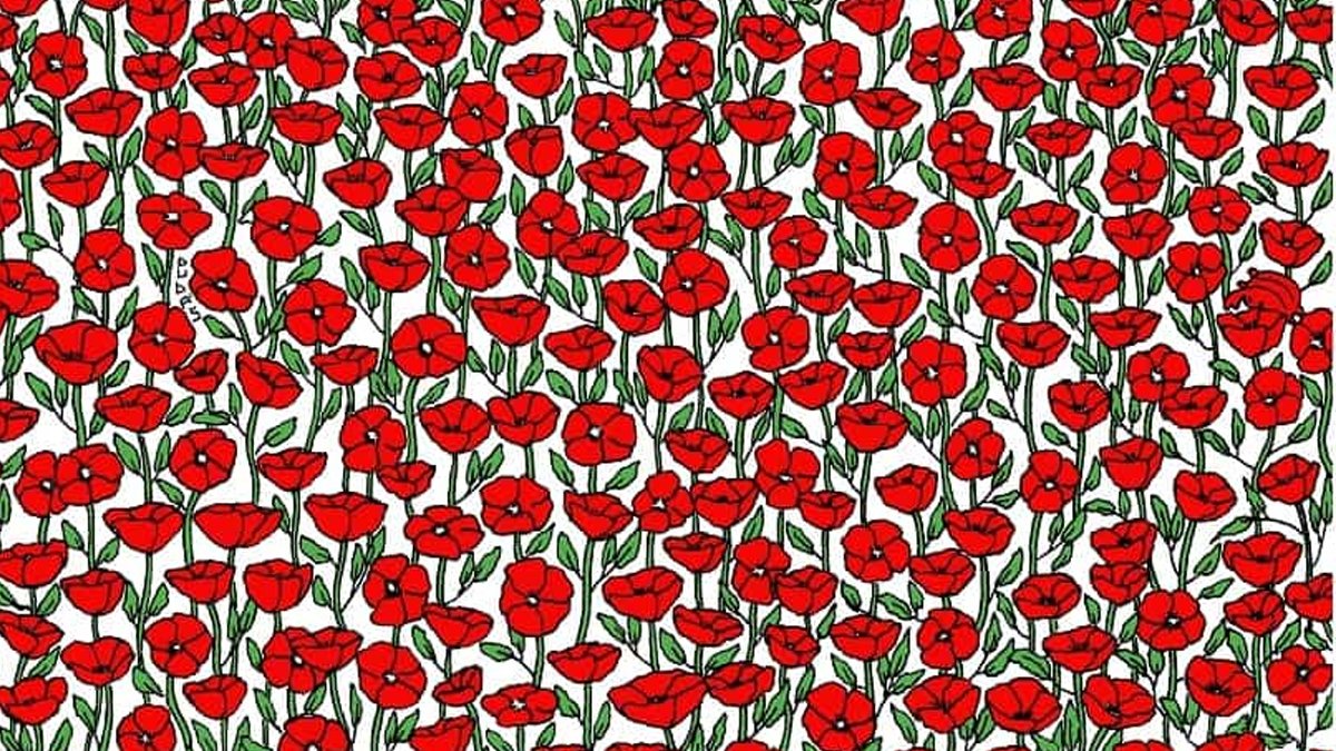 Sosyal medya bu dikkat testini konuşuyor! Sadece 10 saniyeniz var