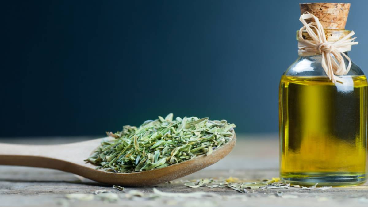 Bir bardak suya iki damla damlatın mucizeye şahit olun! Doğada yetişen bu otun faydaları saymakla bitmez