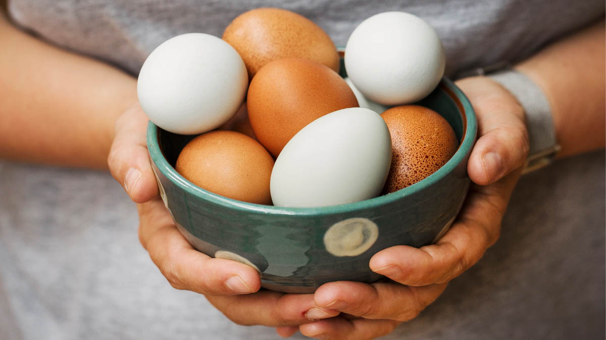 Her gün 1 adet yumurta yiyin sonucu görün! Vücuda öyle bir etkisi ortaya çıktı ki!