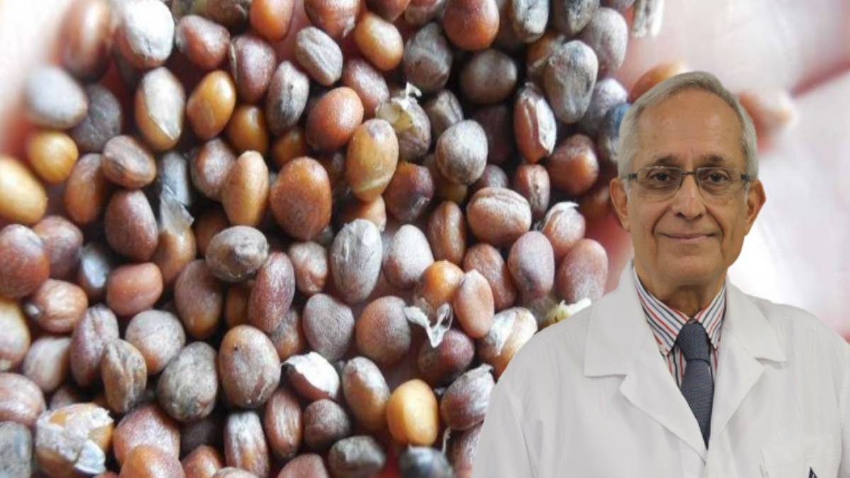 1 çay kaşığı ile gelen mucize! Prof. Dr. Erdem Yeşilada kimsenin bilmediği sırrı açıkladı: Ağzınıza bir çay kaşığı atın...