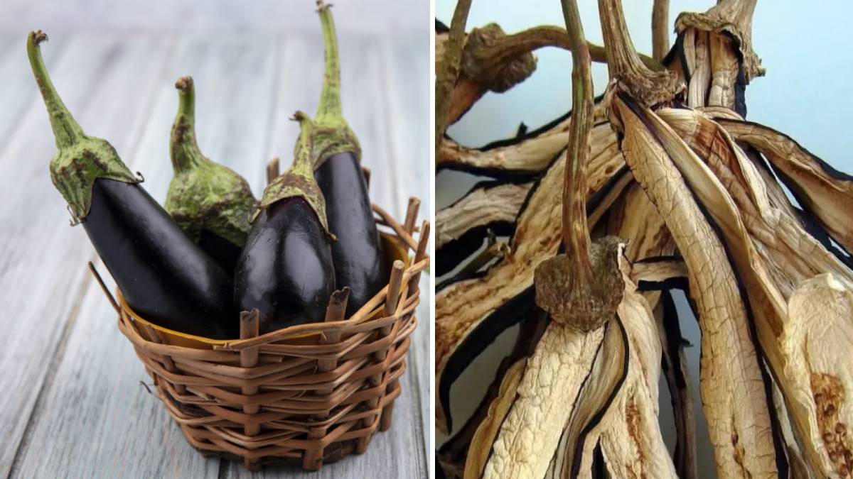 Patlıcanın saplarını sakın çöpe atmayın! İlaçla çaresi yok denilen o hastalığı patlıcan sapıyla yok edeceksiniz