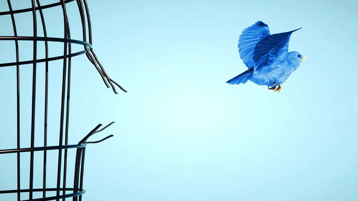 Ünlü şarkıcı Twitter'a veda etti