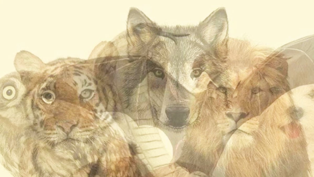 Resimde gördüğün ilk hayvan karakter özelliklerini ortaya çıkarıyor! Hangi hayvanı görüyorsun? Kişiliğini öğren