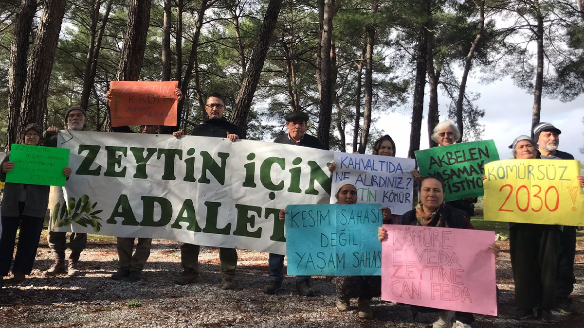 İkizköylüler, madenciliğe karşı zeytinlikleri savunmak için harekete geçti