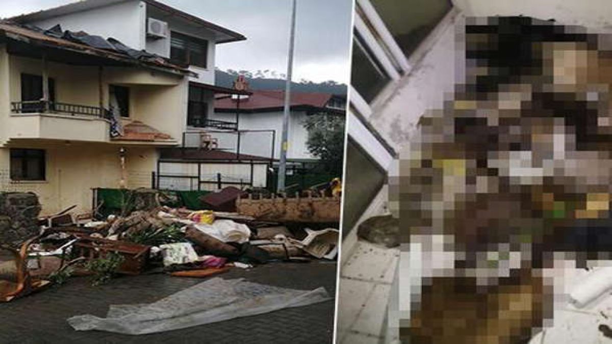 Evinde çok sayıda kedi köpek ölüsü bulunan kadından pes dedirten savunma: Bazısını gömdüm bazısını da...