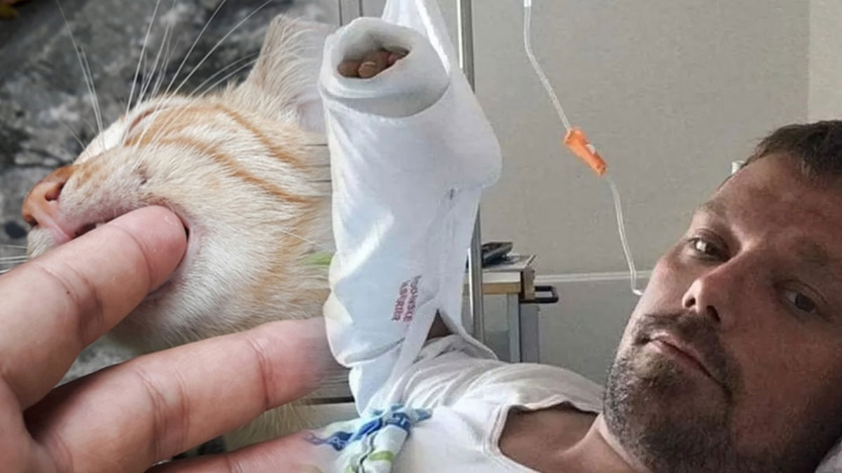 Yavru kedinin ısırdığı adam günden güne eriyerek hayatını kaybetti: Ölüm nedeni şoke etti!