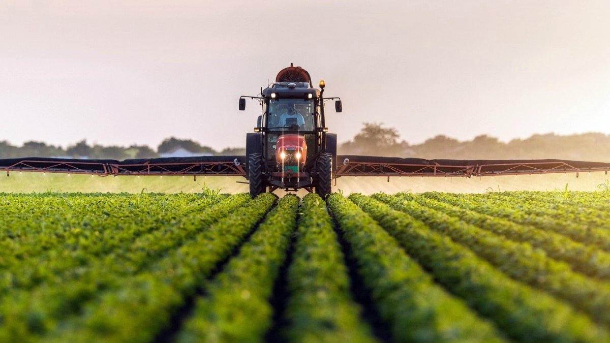 Tarım ürünlerine zam yolda: Sorun market raflarında değil tarlada