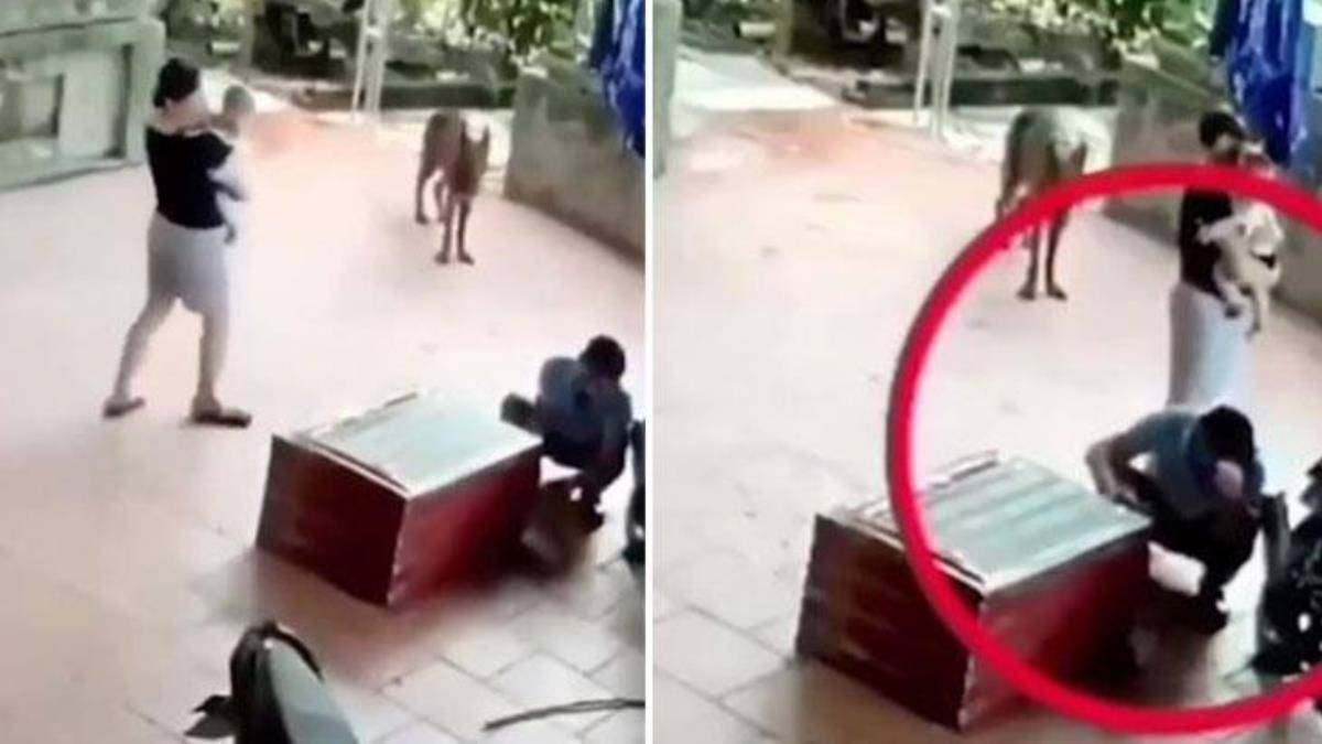 Ok gibi fırlayıp kafasını ağzına aldı... Evinde dev yılan besleyen adam neye uğradığını şaşırdı! O anlar kamerada