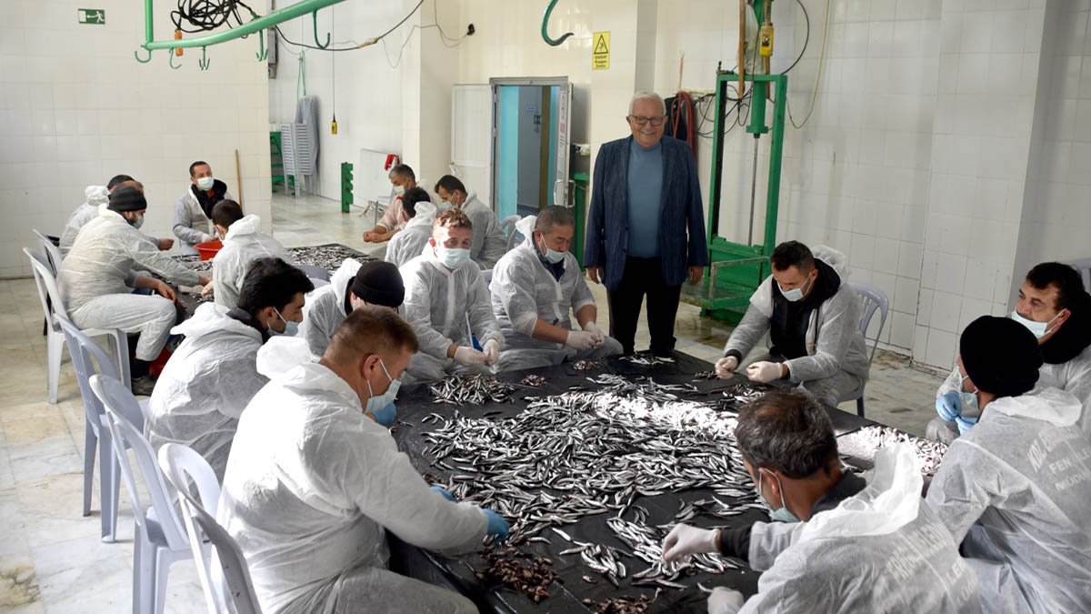 Karadeniz Ereğli'si 15’inci Hamsi Festivali'ne hazır: Tüm vatandaşlar davetli