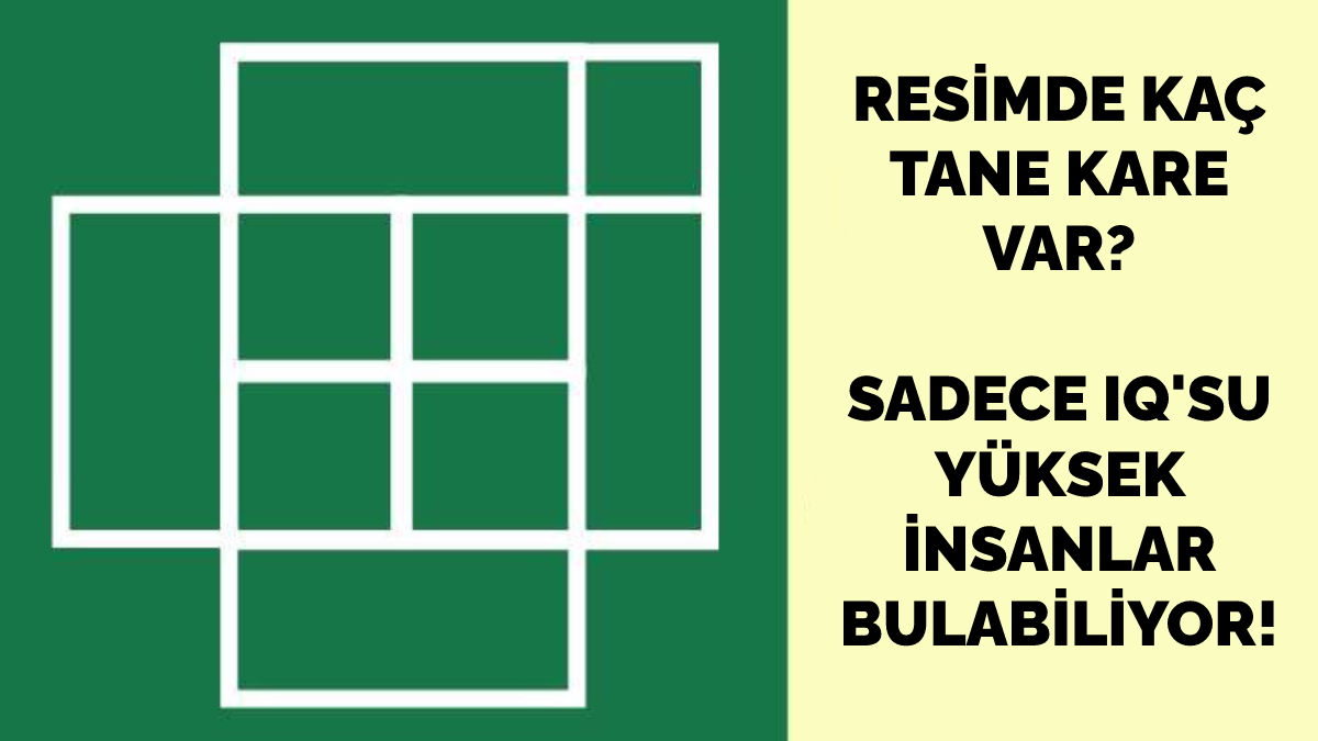 Resimde kaç kare var? 8 saniyede bulursan senden zekisi yok! Sadece üstün zekalı insanlar bulabiliyor