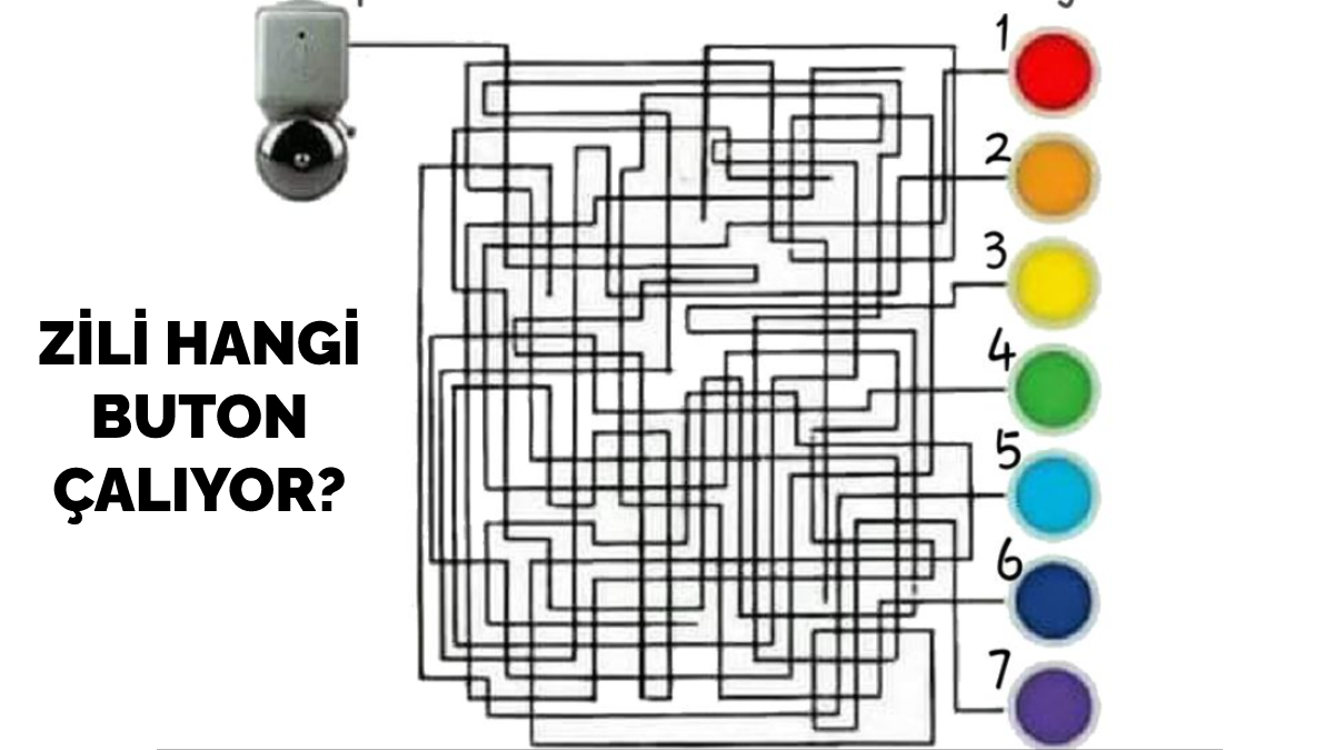 Zili hangi düğme çalıyor? 30 saniyeniz var... Sadece IQ'su 140'ın üstünde olanlar bulabiliyor!