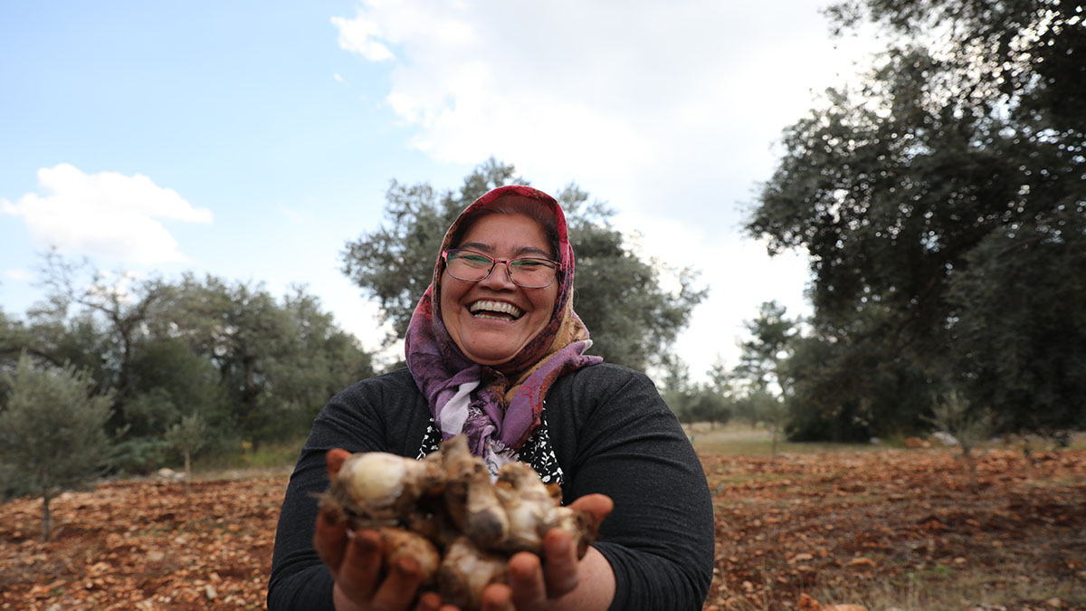 30 bin Nergis ve Frezya soğanı toprakla buluştu