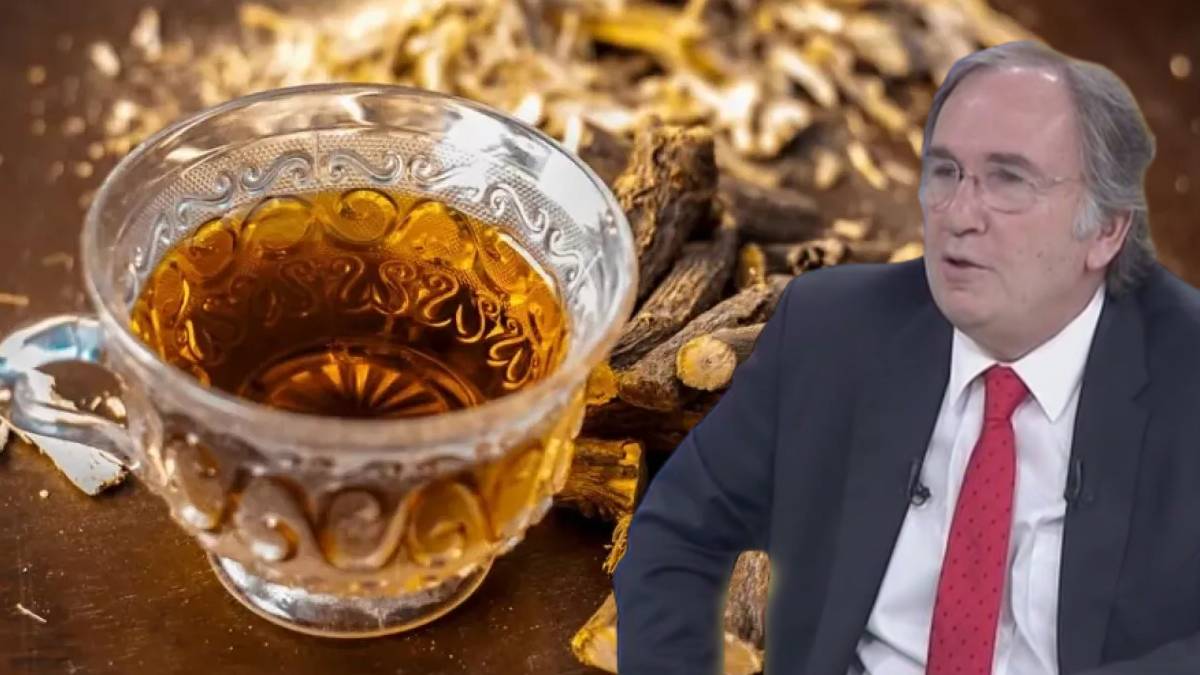 Bu dal parçasından bir bardağın içine atın mucizeye tanık olun! Prof. Dr. İbrahim Saraçoğlu kimsenin bilmediği sırrı açıkladı