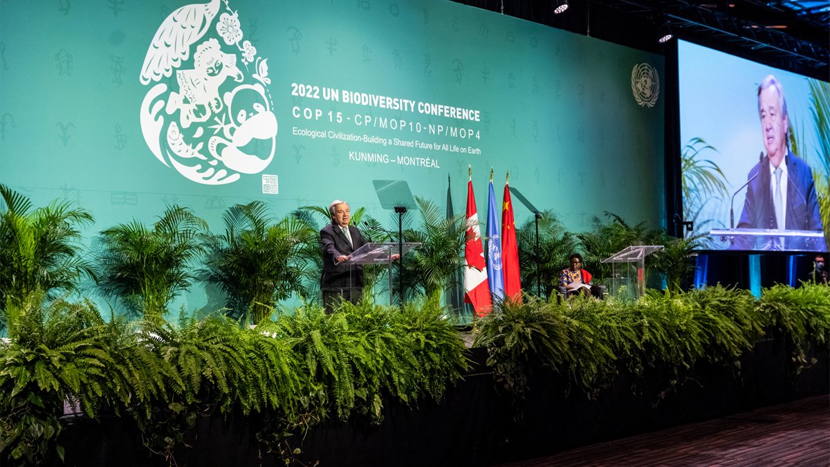 BM'den umutlandıran anlaşma: Dünyanın yüzde 30'u koruma altına alınacak