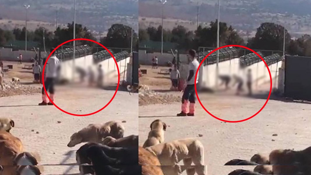 Konya'daki 'ölüm barınağı'nda iddianame kabul edildi: İşte istenen cezalar