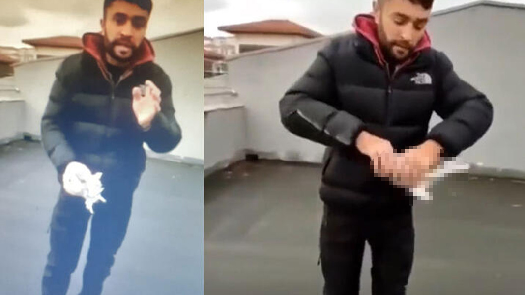 Ankara'da dehşete düşüren olay: Güvercinin başını koparıp öldürdü, para cezasıyla serbest kaldı!