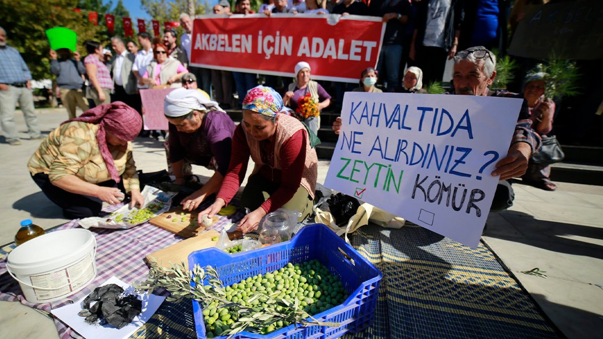 Akbelen Ormanı madene kurban ediliyor! 'Ekosistem yok edilecek ama kömür çıkarılmalı!'