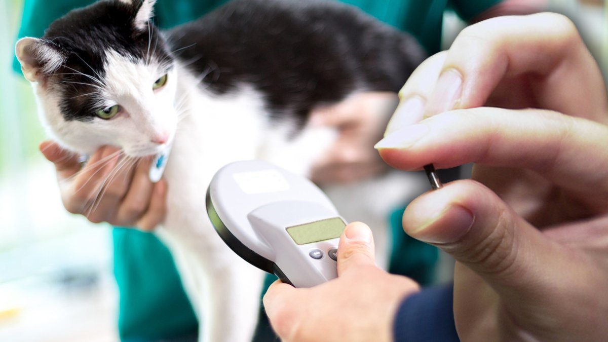 Cezanın başlamasına son 6 gün! Tedarik sıkıntısı var, süre uzatılsın