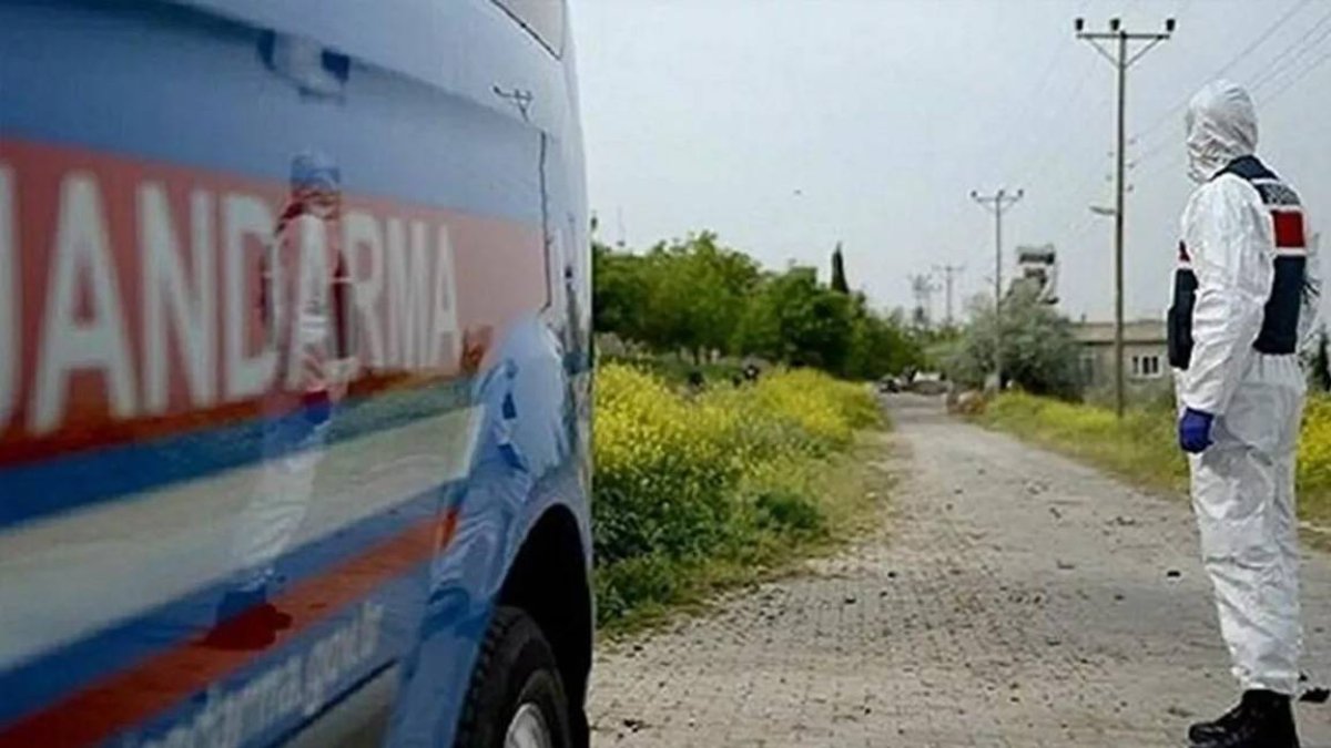 Adıyaman'da kuduz alarmı: Bir köy karantinada