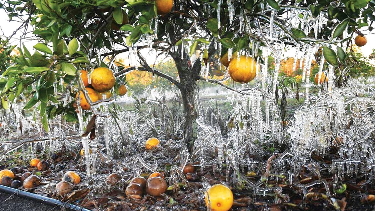ABD ve Kanada’da hayat durma noktasında: Noel tatiline ‘siklon bombası’