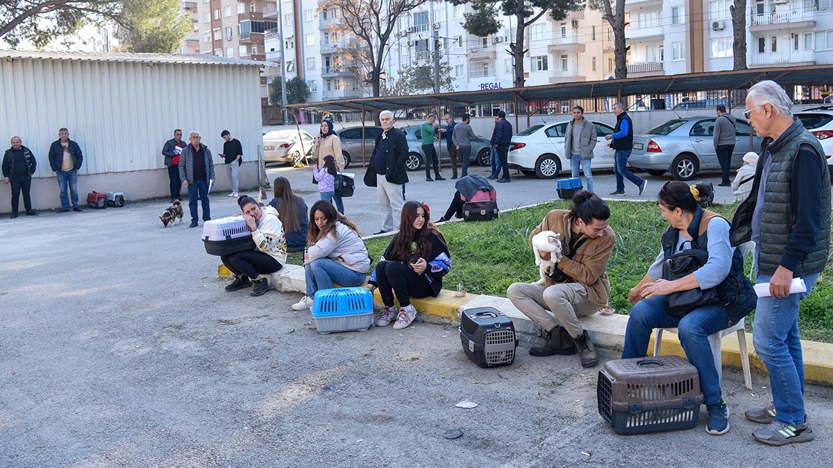 Zorunlu ama çip yok! Evcil hayvan sahipleri kuyrukta