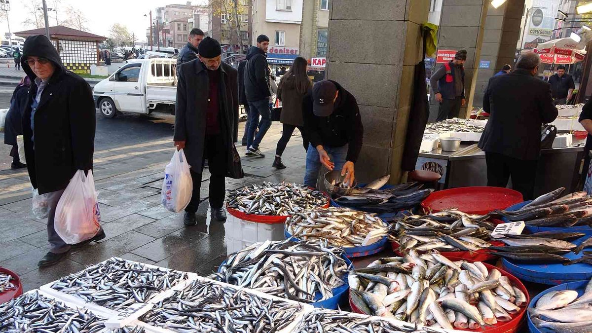 Hamsi yemek hayal oldu! Fiyatı gören kaçıyor
