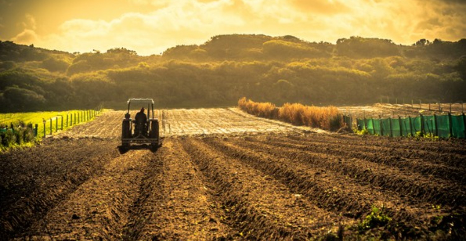 Ödemeler nihayet hesaplara yatırıldı! Çok sayıda kişiye ödendi: Hesabınızı kontrol edin, size de yatırılmış olabilir