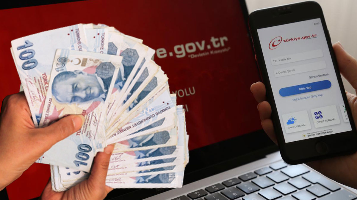Son tarih 31 Aralık! e-Devlet'ten başvurmayan destek alamayacak