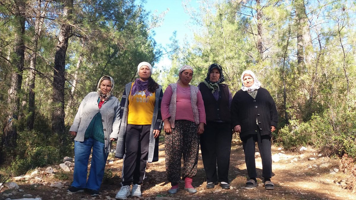 İkizköylü kadınlar desteğe çağırdı: Ağaç kesimi için alarma geçtiler