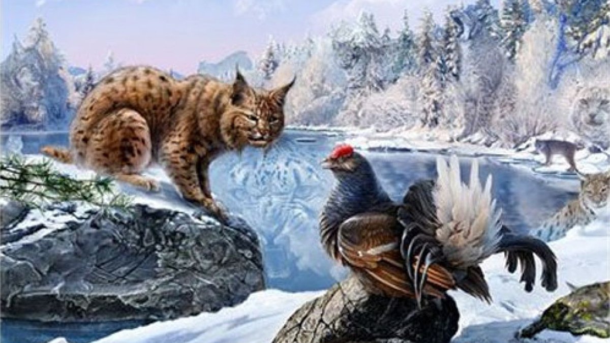 Bu illüzyon resminde 16 kediyi bulursan IQ seviyen en az 160 çıkıyor! Sadece yüksek zekalı insanlar görebiliyor!