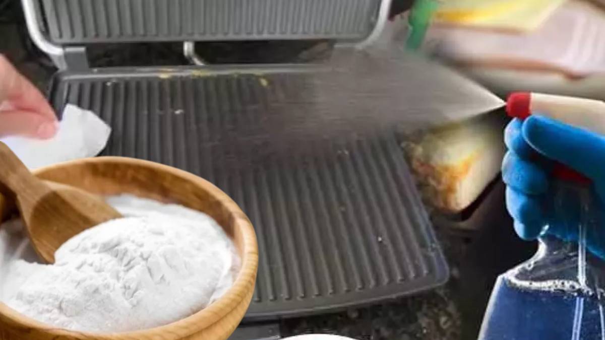 2 lira ile gelen mucize! Kabartma tozunu tost makinasına dökün 1 dakika sonra etkisini görün: Deneyenler bir daha bırakamıyor