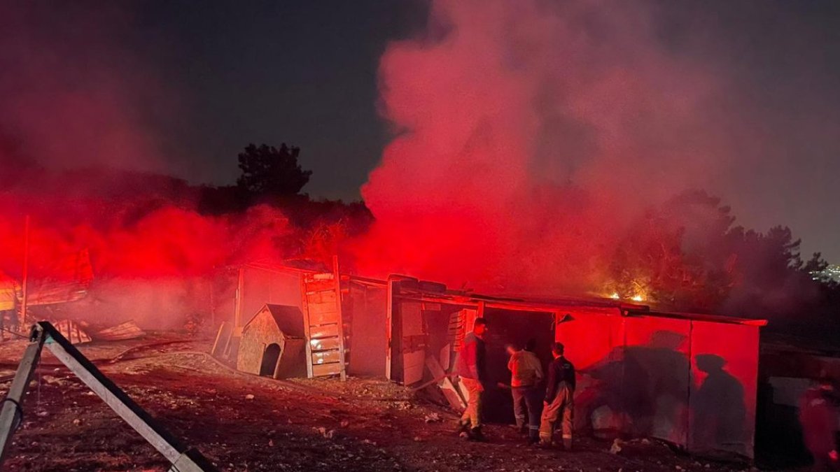 Ormanlık alanda yangın: Barakalar kül oldu