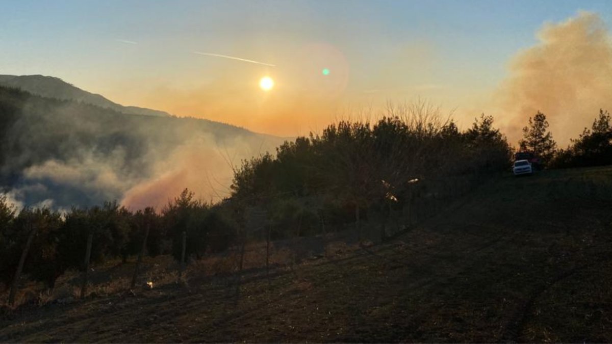 Osmaniye’de orman yangını