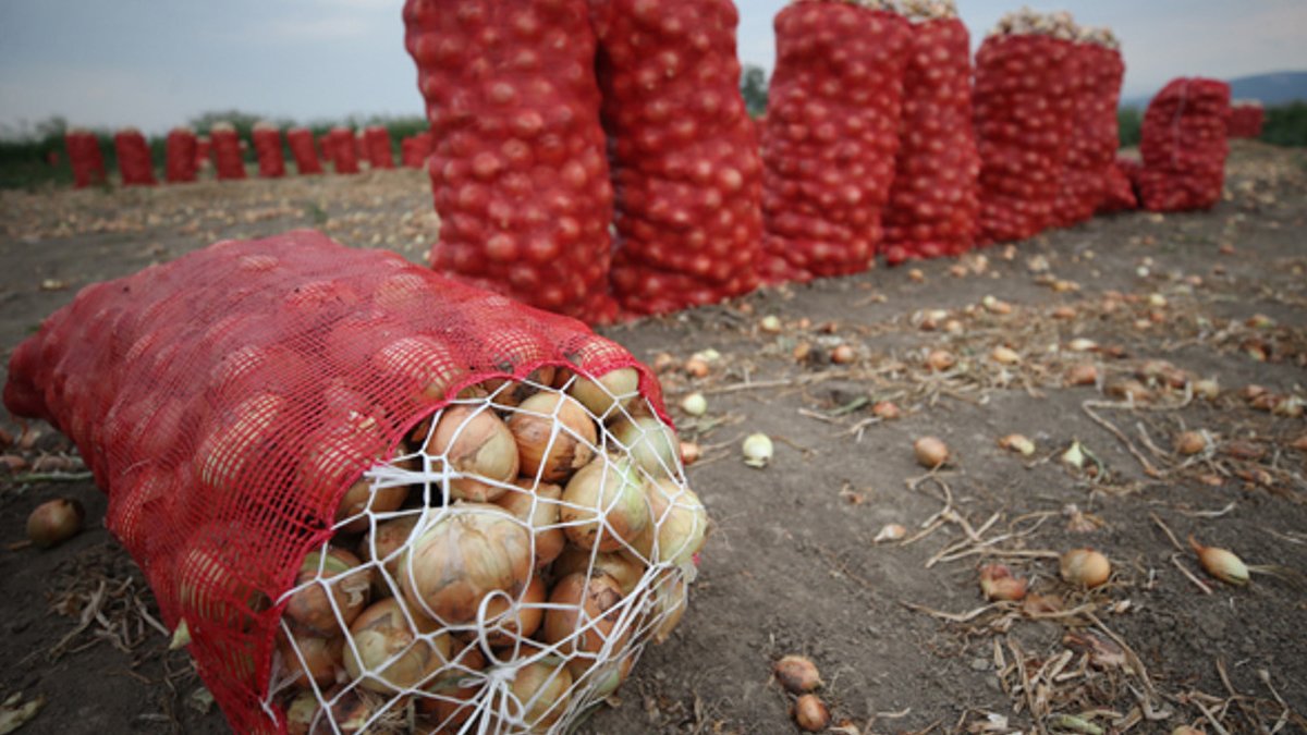2022'nin zam şampiyonu kuru soğan oldu: Fiyat artışı dudak uçuklattı