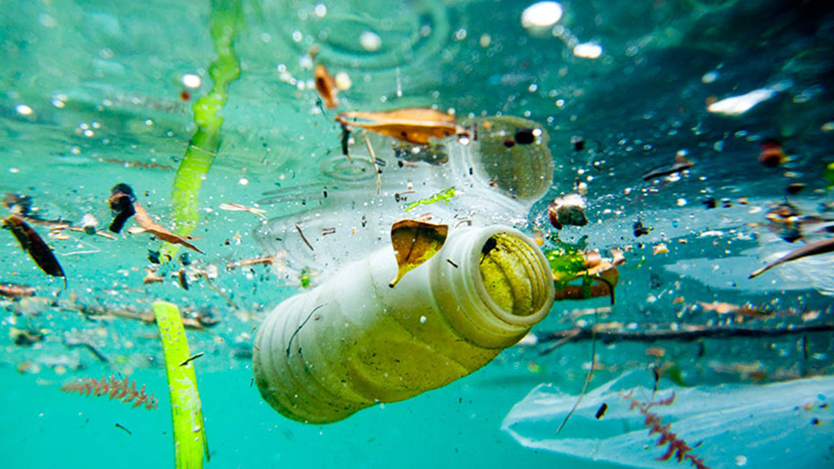 Denizden çıkanlara kimse inanamadı... Çevreyi kirletenler vatana ihanetten yargılanmalı!