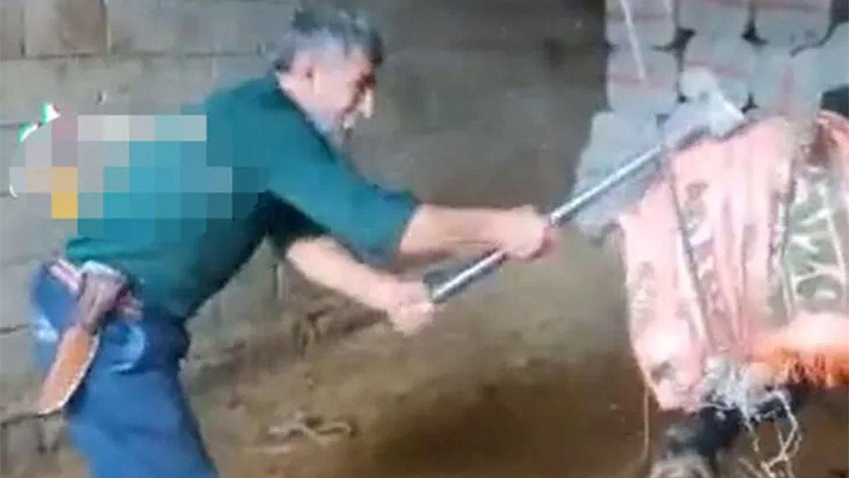 Türkiye bu vahşeti konuşmuştu: Balyozlu işkenceye 36 gün sonra tahliye