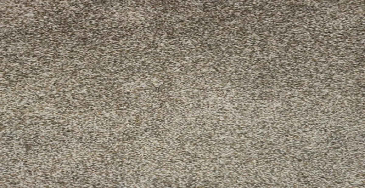 IQ'su 135 olanlar resimdeki gizli örümceği hemen buluyor! Resme dikkatli bak, zeka seviyeni öğren!