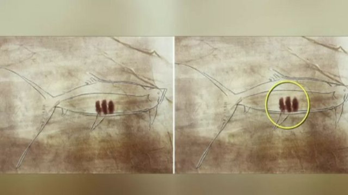 Cambridge Arkeoloji Dergisi'nde yayımlandı: Buz Devri'den kalma 20 bin yıllık çizimlerin sırrı ne?