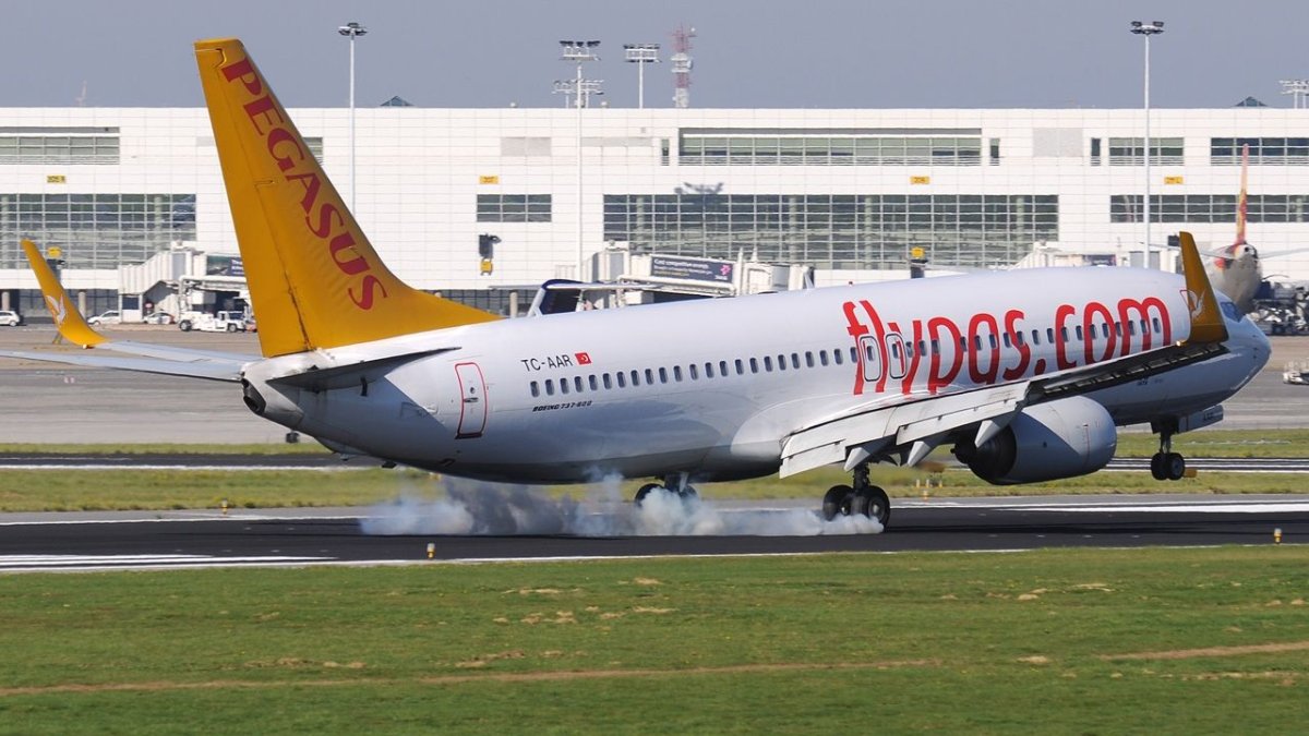 Yolcu uçağı tavşana çarptı