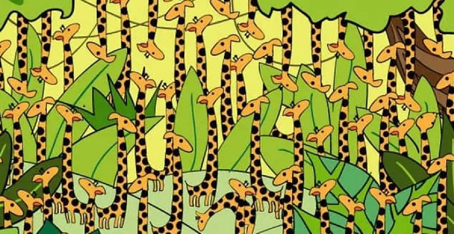 Тест на змею. Найди змею среди Жирафов. Найди змейку на картинке. Головоломка Найди змею. Головоломки Найди на картинке животное.