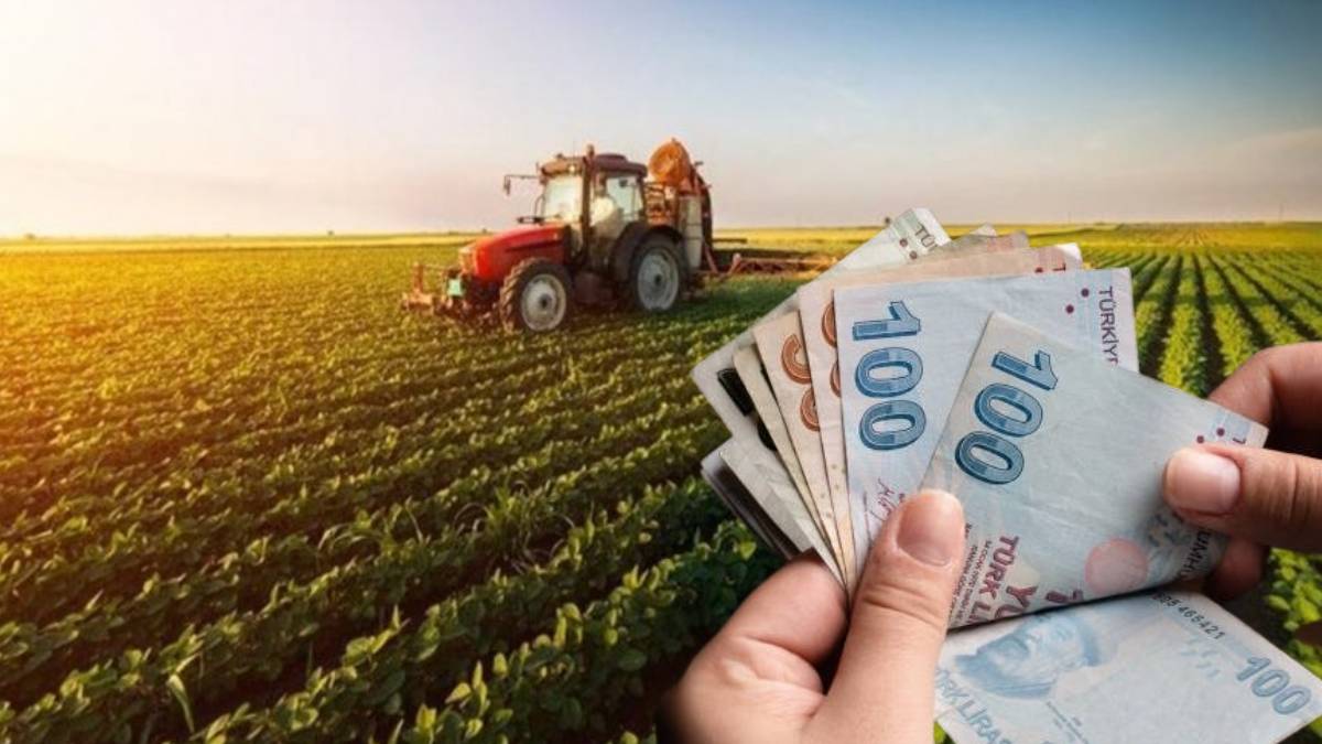 Çiftçilere can suyu olacak 250 Bin TL destek! Cumhurbaşkanı müjdeyi verdi, bu şartları sağlayanlar alabilecek