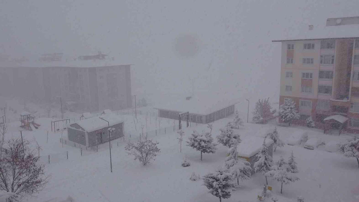 Kar yağışı hayatı felç etti: 2 ilde bazı okullarda eğitime ara