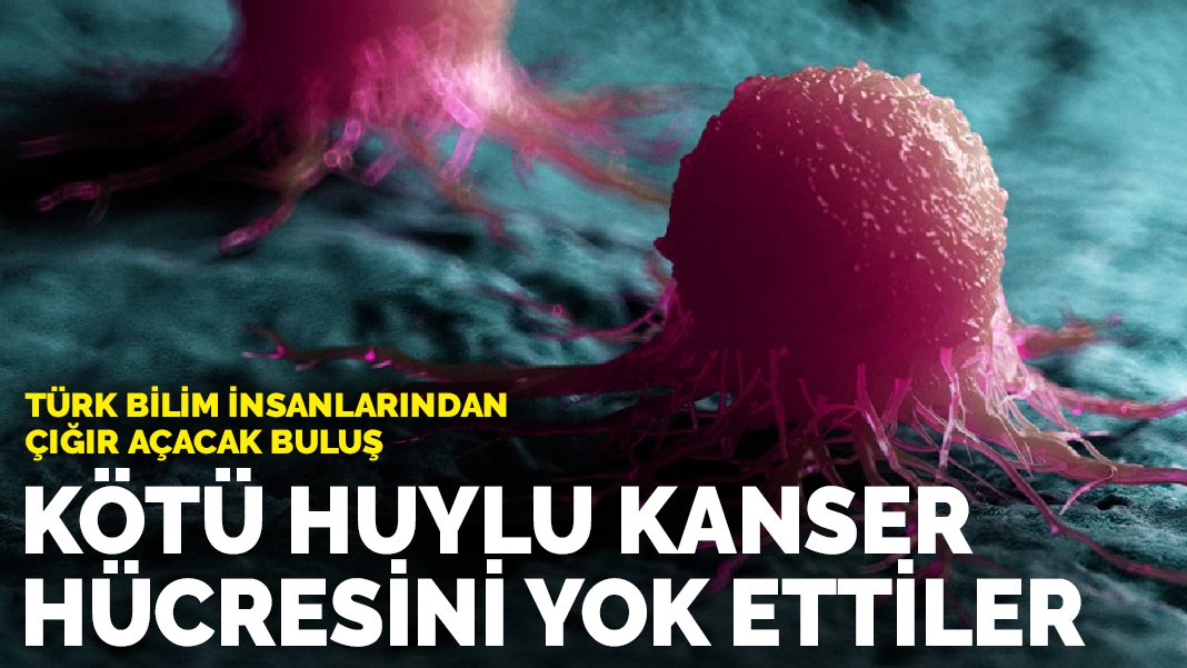 Revolutionary invention of Turkish scientists!  They destroyed the malignant tumor cell