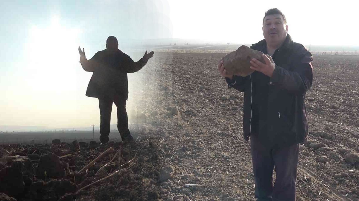 Toprak taşa döndü: Kuraklık pahalılık getirecek