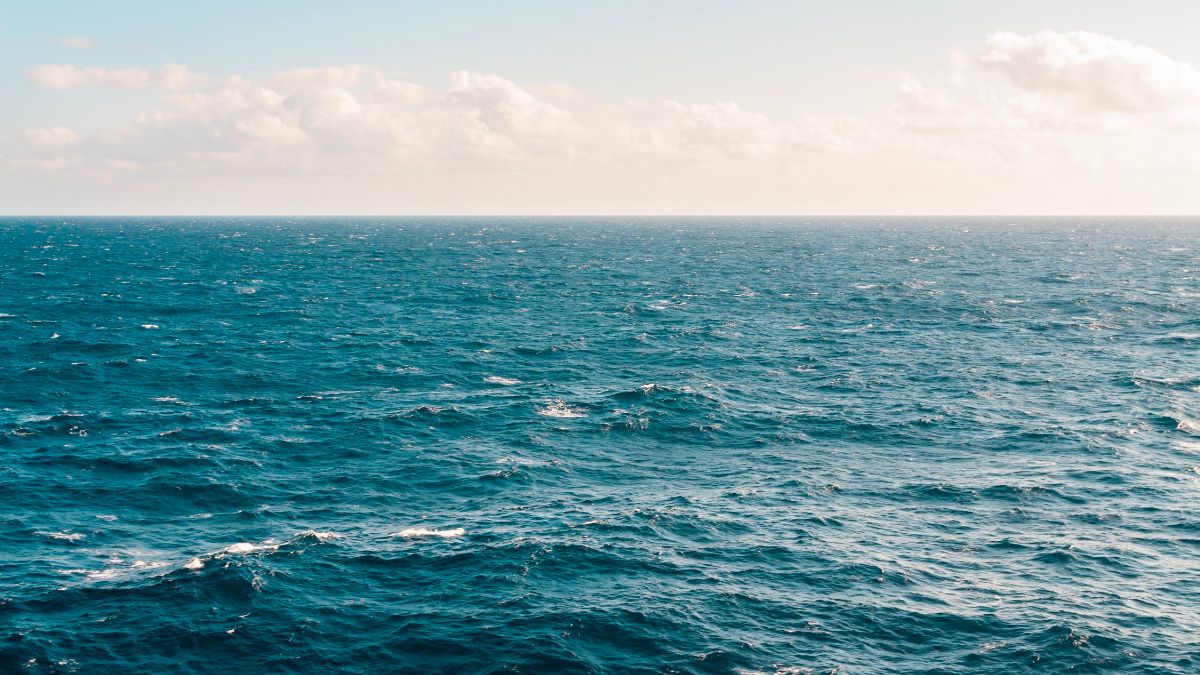 Küresel ısınma korkutuyor: Okyanus sıcaklıkları rekor kırdı