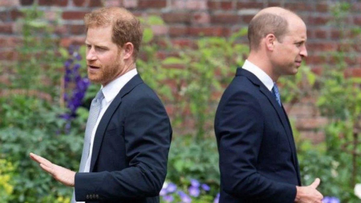 Prens Harry: Varlık nedenim ihtiyaç halinde abime organ bağışlamak