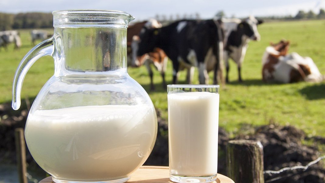 Sofrada süt artık lüks: Litresi 11 lira oldu