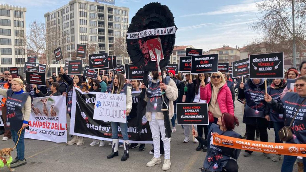 Konya'da köpeği katledenlerin serbest kalmasına tepkiler yükseliyor: 'Kanlı küreğin hesabını sormaya geldik'