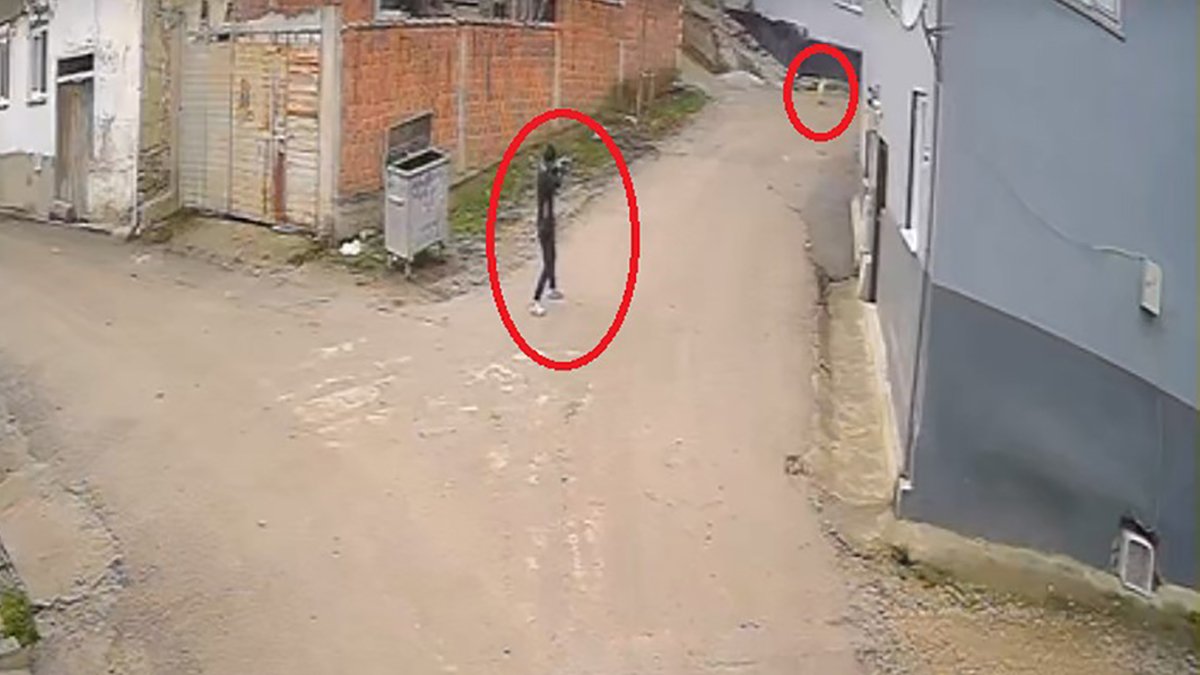 Canı istedi, hedef aldı, öldürdü! Bu köpek katilinin bir cezası olacak mı?